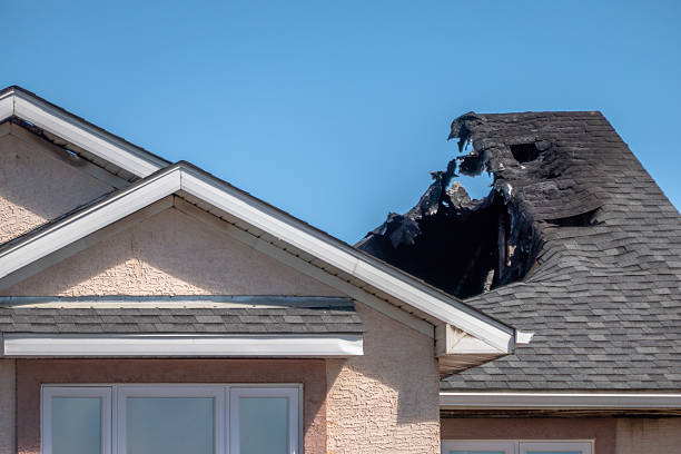 Top rated local Odor Removal specialists in Cologne, NJ